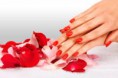 /album/manicure-pedicure/download-5-jpeg/